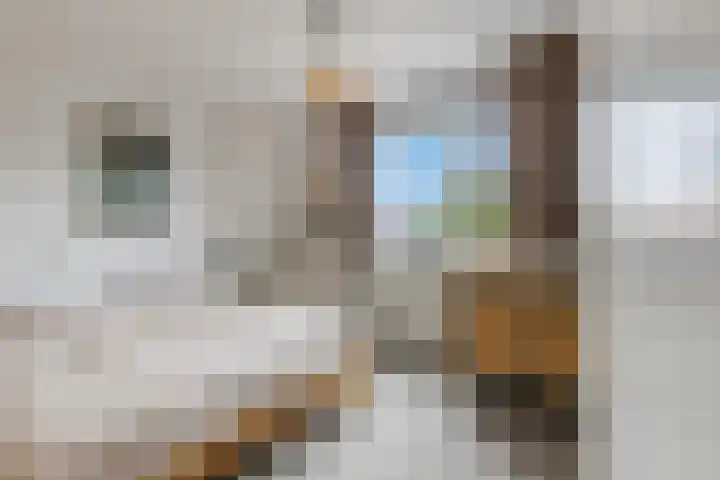 Daalseweg 232 C Nijmegen thumbnail 21