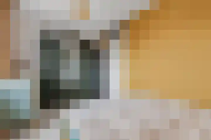 Daalseweg 232 C Nijmegen thumbnail 22