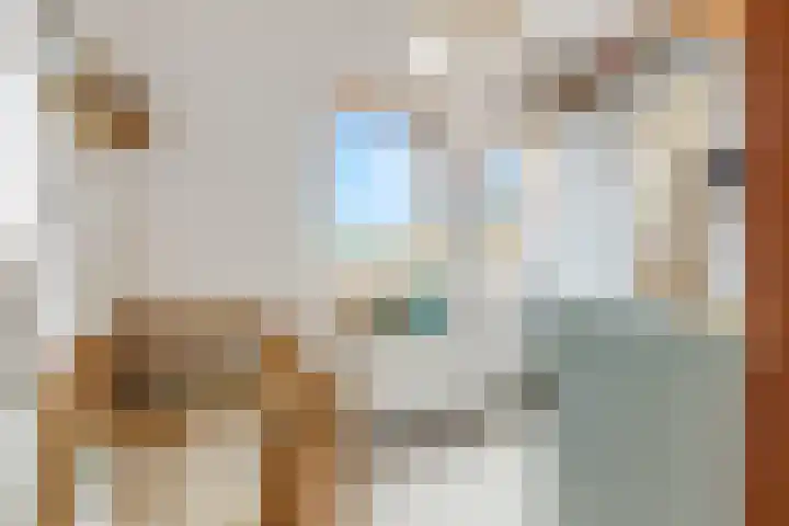 Daalseweg 232 C Nijmegen thumbnail 24