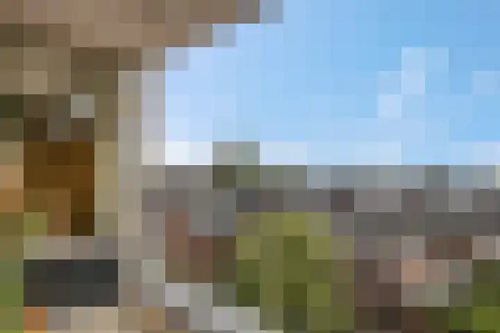Daalseweg 232 C Nijmegen thumbnail 25