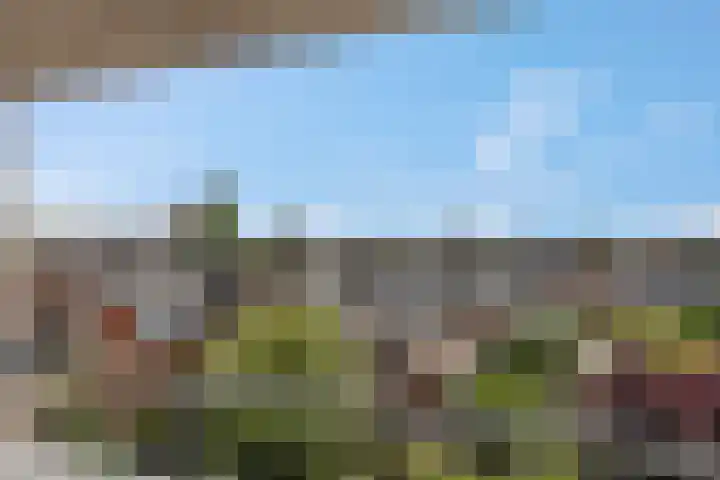 Daalseweg 232 C Nijmegen thumbnail 26