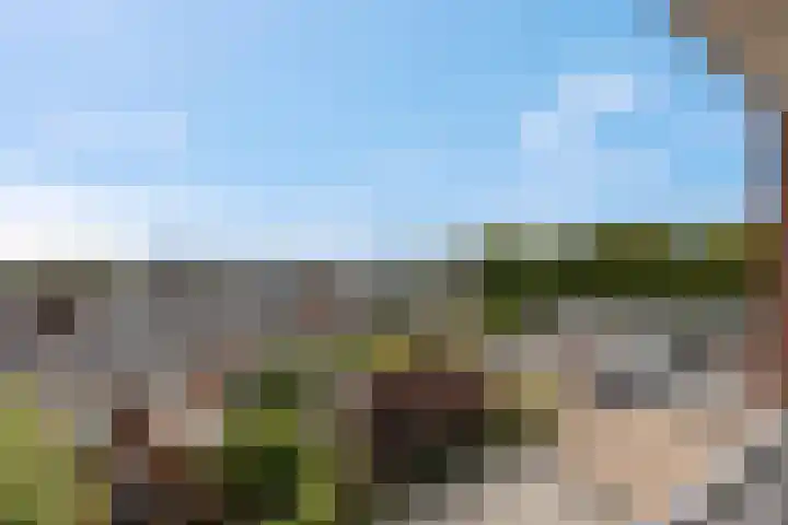 Daalseweg 232 C Nijmegen thumbnail 27
