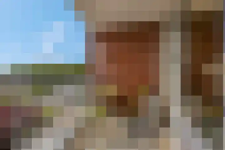 Daalseweg 232 C Nijmegen thumbnail 5