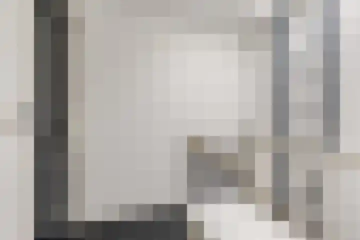 Daalseweg 232 C Nijmegen thumbnail 8