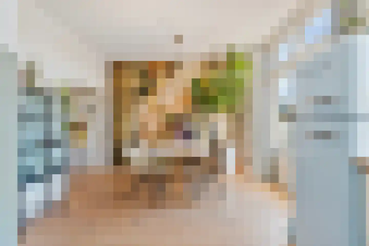 Daalseweg 238 A Nijmegen thumbnail 18