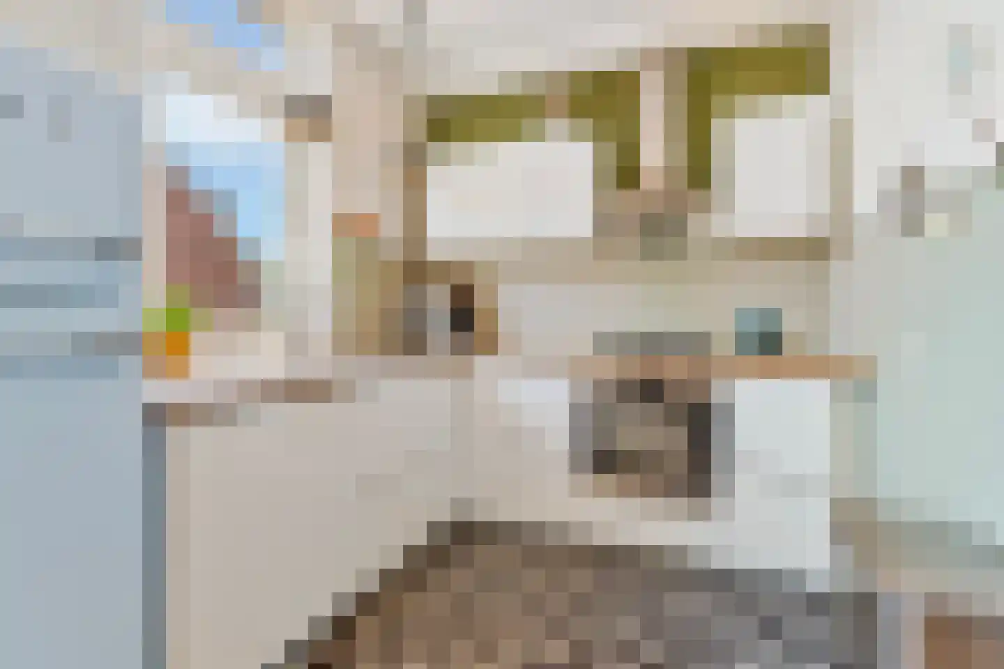 Daalseweg 238 A Nijmegen thumbnail 4