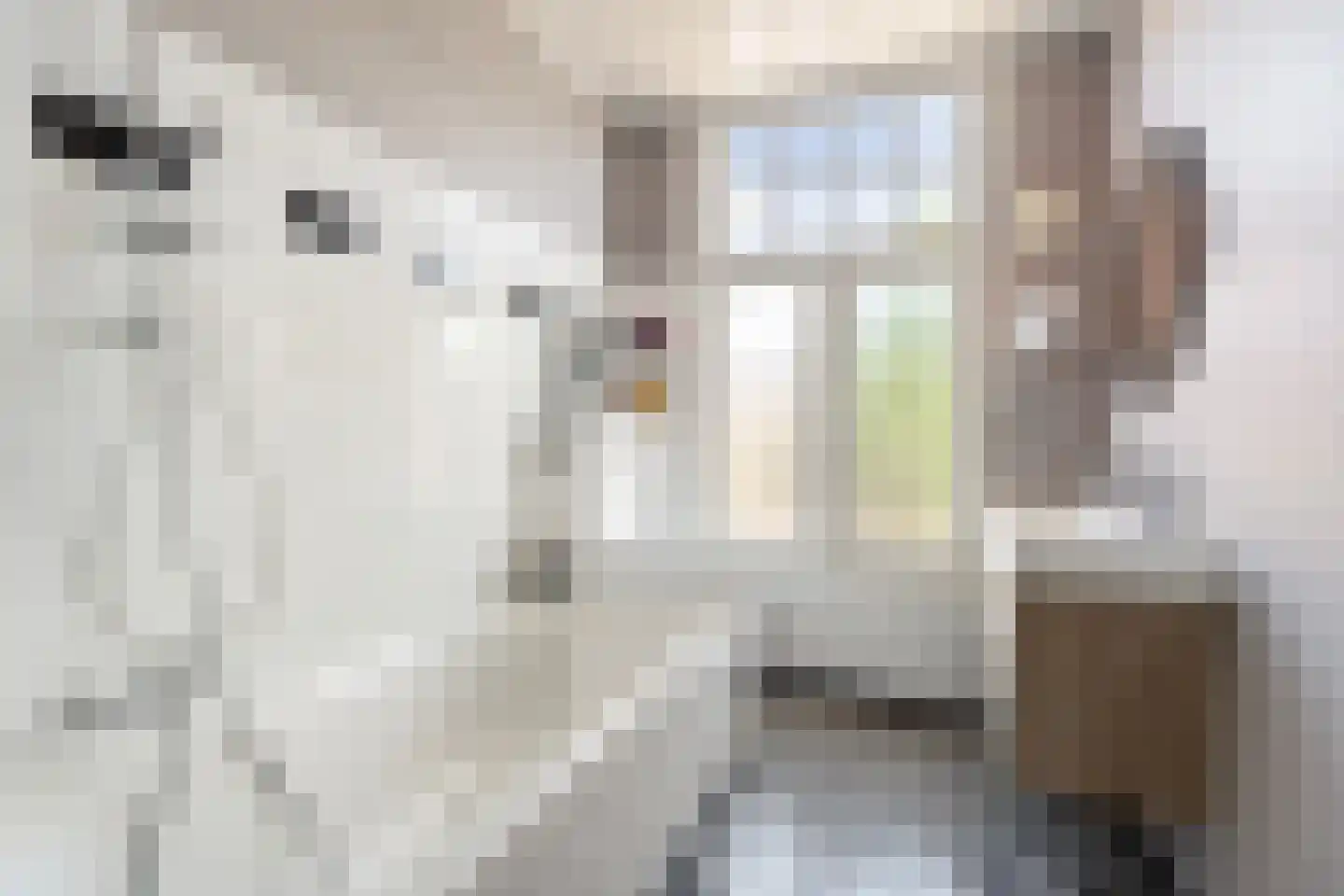 Daalseweg 238 A Nijmegen thumbnail 5