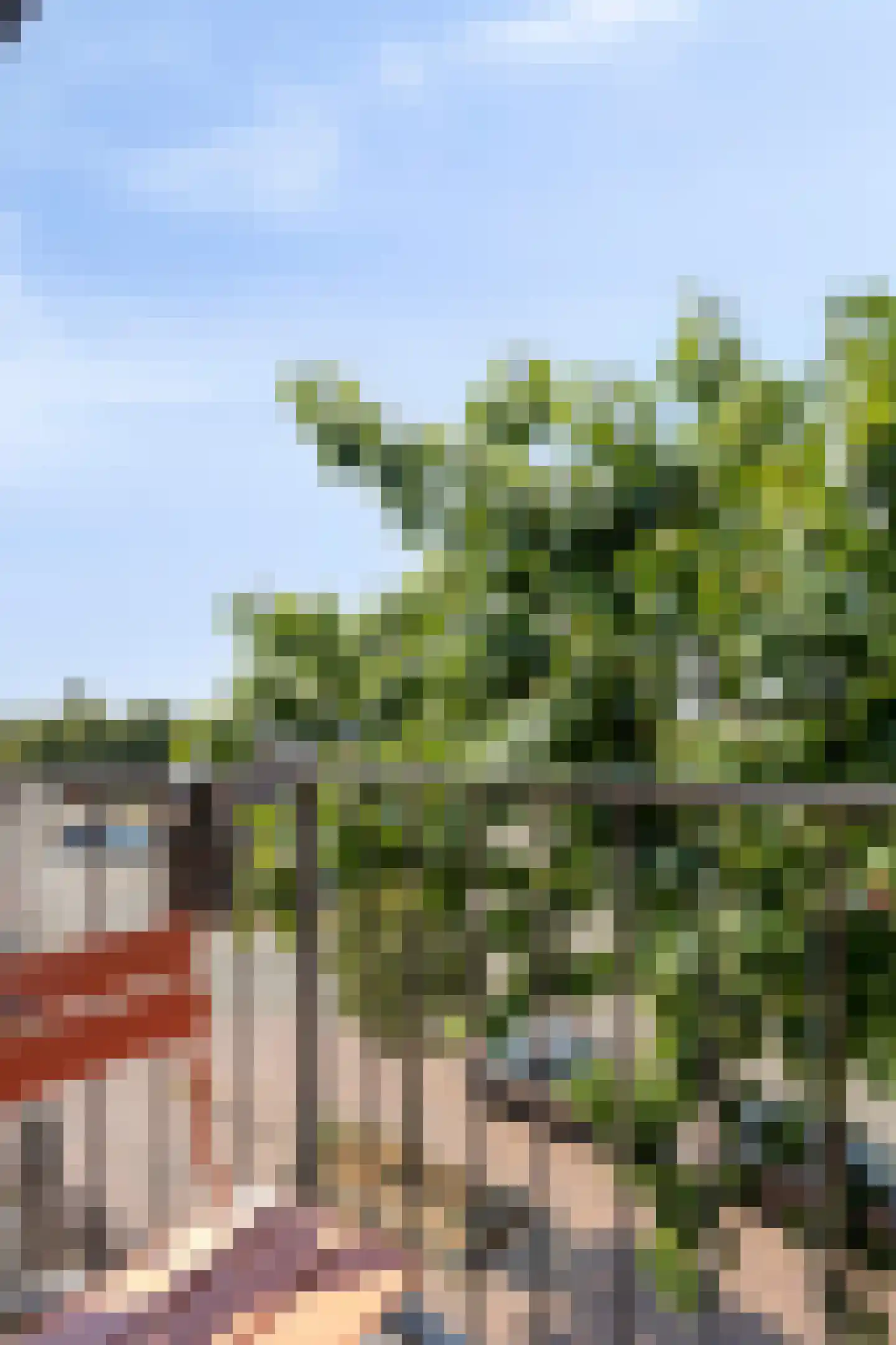 Daalseweg 277 Nijmegen thumbnail 27