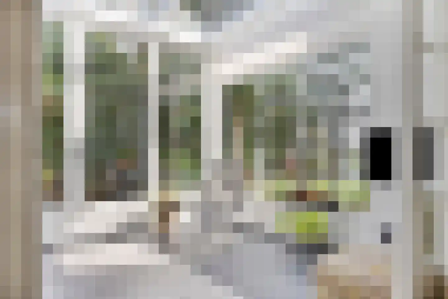 Daalseweg 329 Nijmegen thumbnail 19
