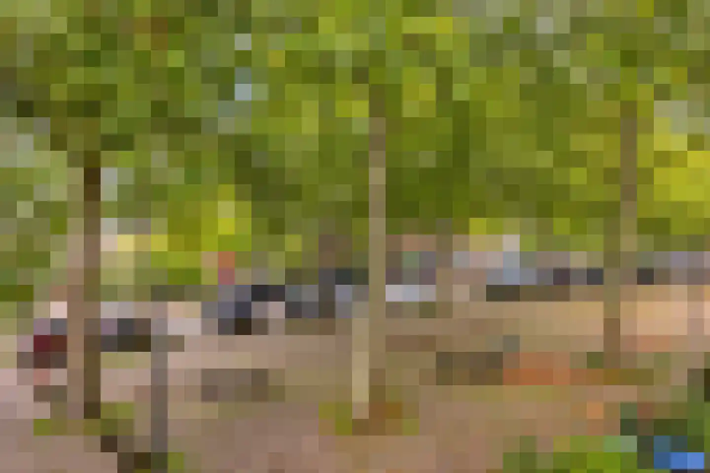 Daalseweg 329 Nijmegen thumbnail 41