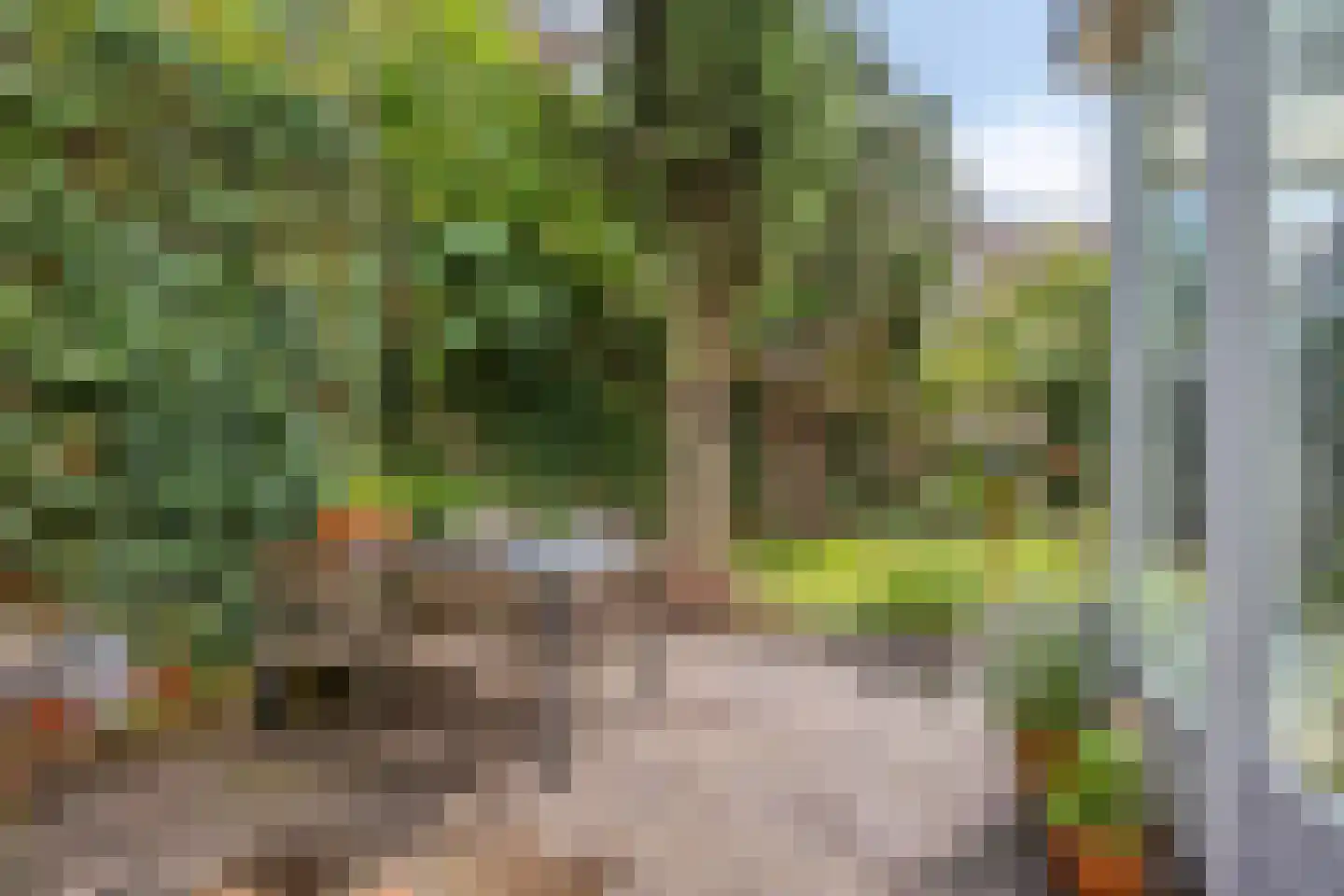 Daalseweg 329 Nijmegen thumbnail 55