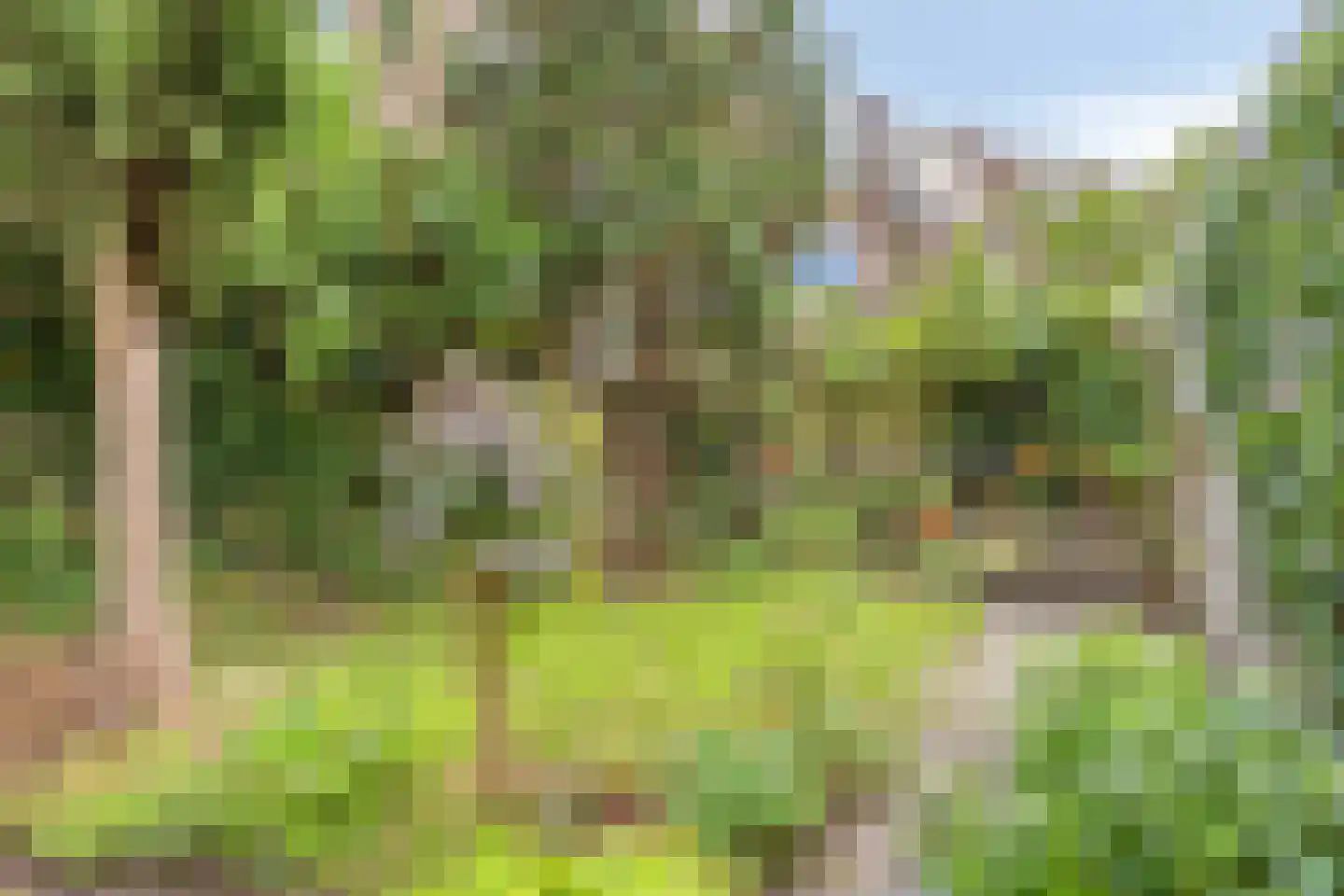 Daalseweg 329 Nijmegen thumbnail 56