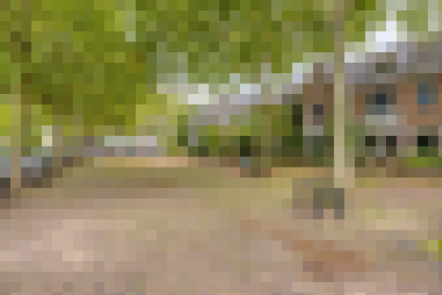 Daalseweg 329 Nijmegen thumbnail 60