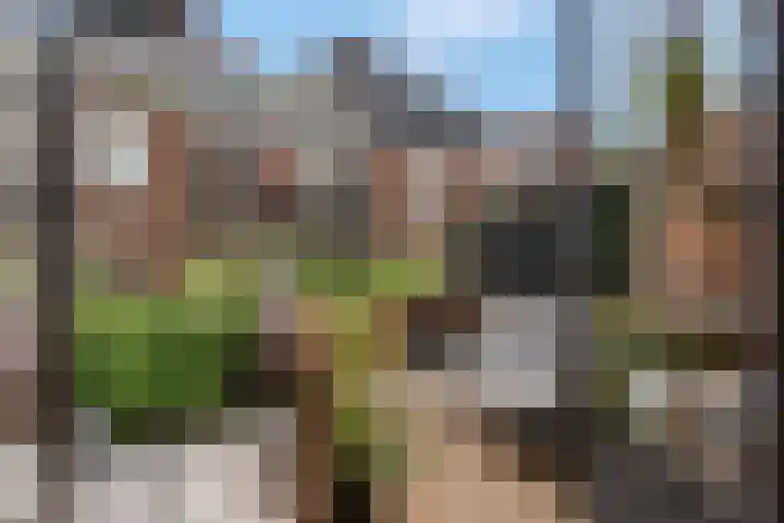 Daalseweg 354 Nijmegen thumbnail 27