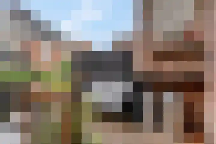 Daalseweg 354 Nijmegen thumbnail 29