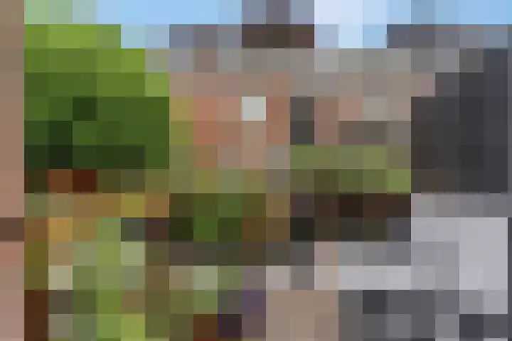 Daalseweg 354 Nijmegen thumbnail 30
