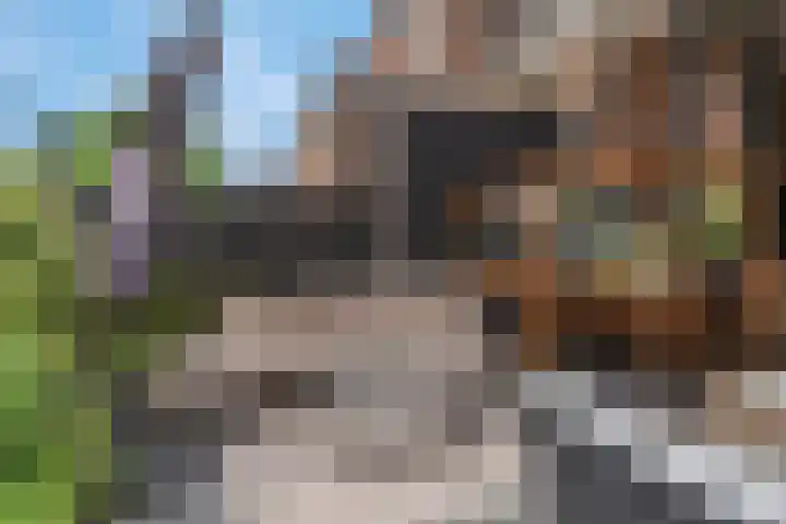 Daalseweg 354 Nijmegen thumbnail 32