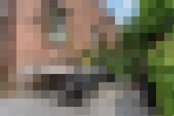 Daalseweg 354 Nijmegen thumbnail 33