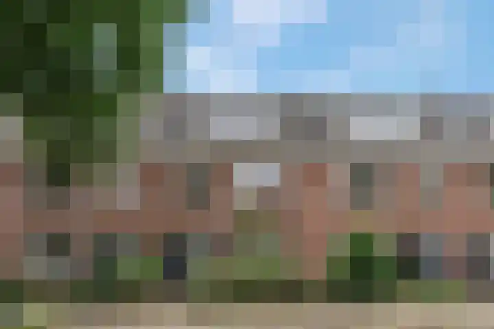 Daalseweg 354 Nijmegen thumbnail 34