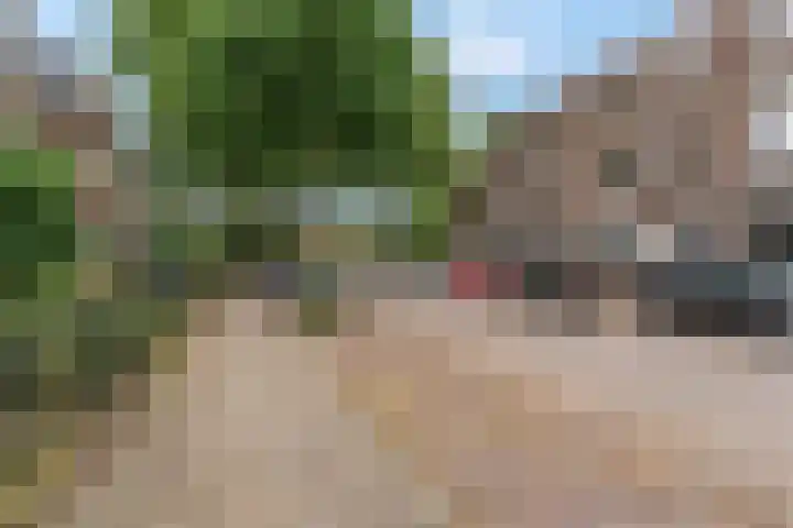 Daalseweg 354 Nijmegen thumbnail 35