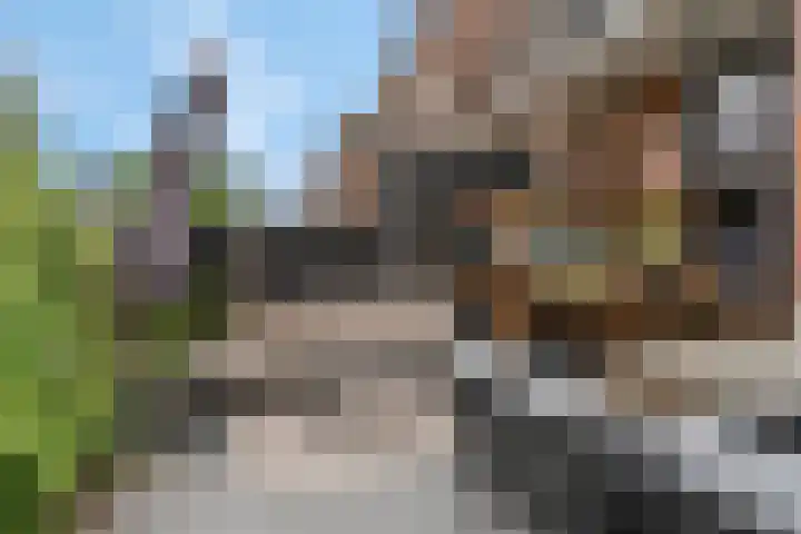 Daalseweg 354 Nijmegen thumbnail 6