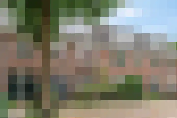 Daalseweg 354 Nijmegen thumbnail 7