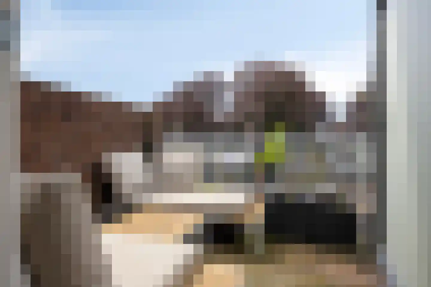 Daalseweg 356 Nijmegen thumbnail 40