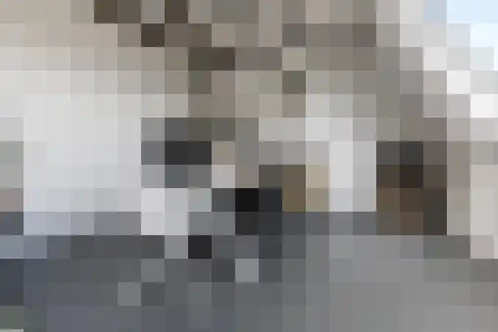 Daalseweg 39 Nijmegen thumbnail 6
