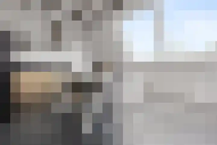 Daalseweg 39 Nijmegen thumbnail 7