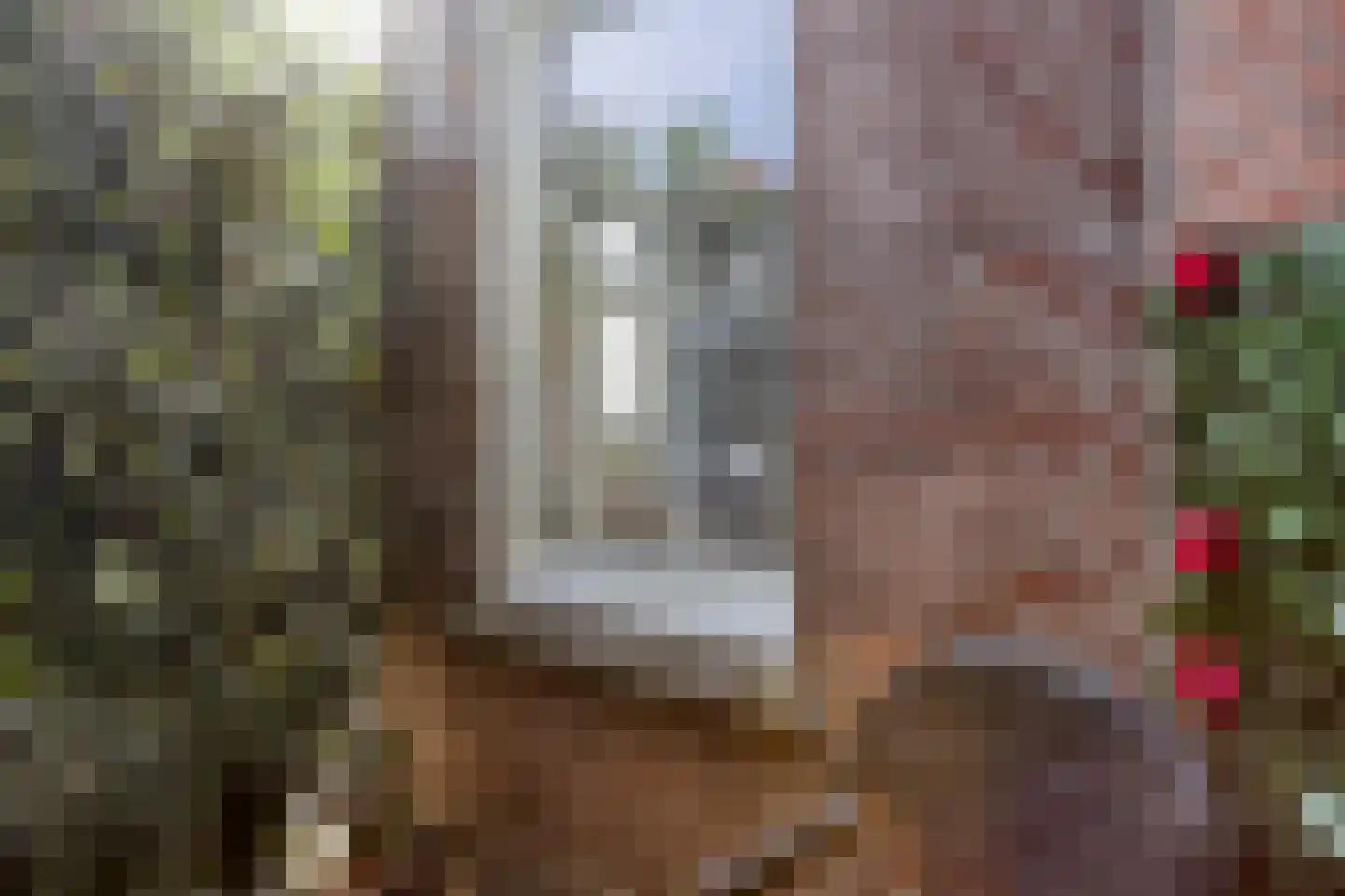 Daalseweg 56 Nijmegen thumbnail 25