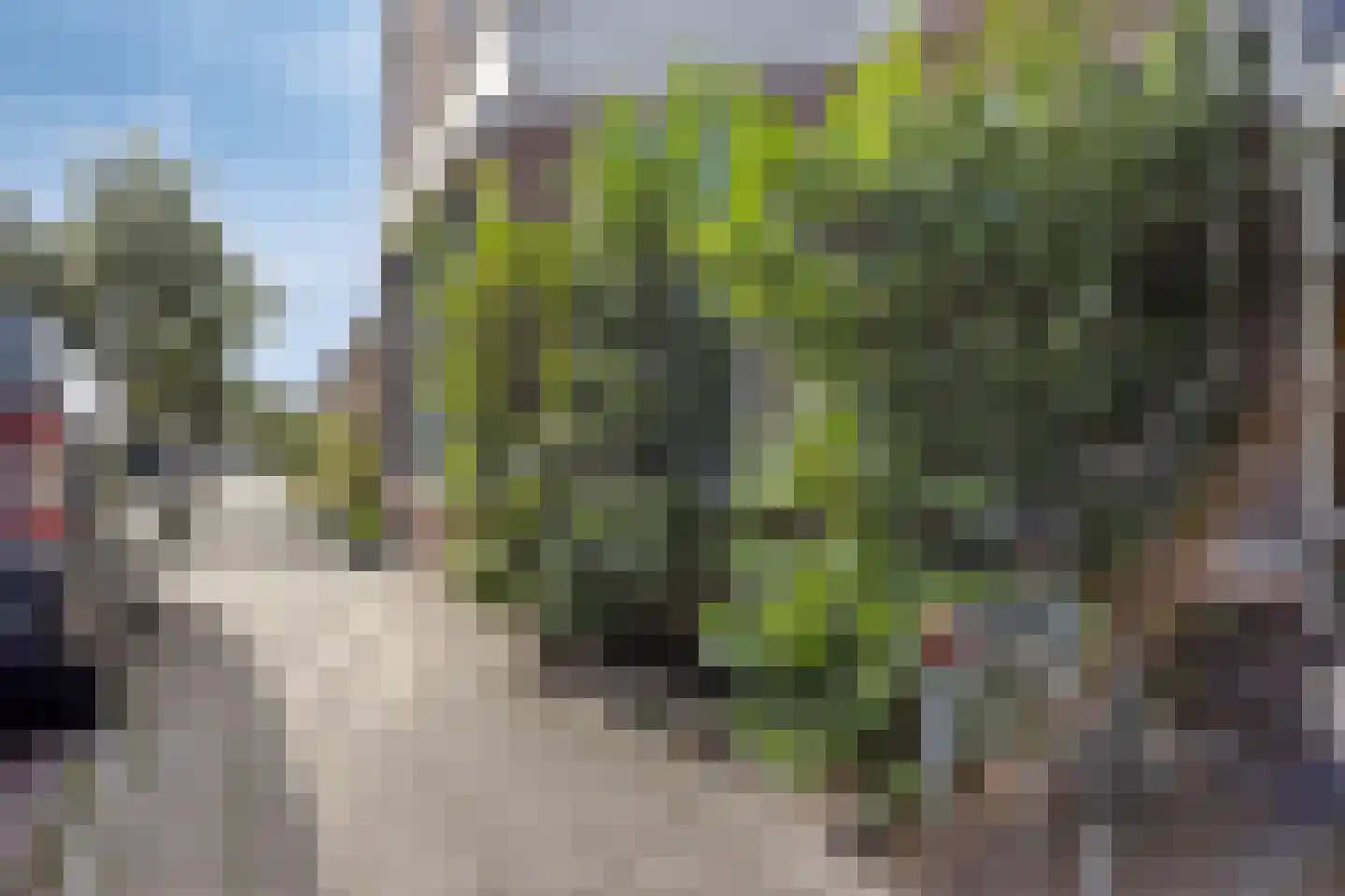 Daalseweg 56 Nijmegen thumbnail 26