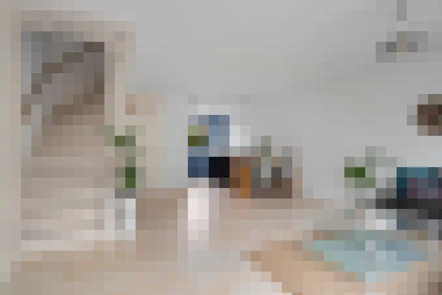 Daalseweg 66 Utrecht thumbnail 14