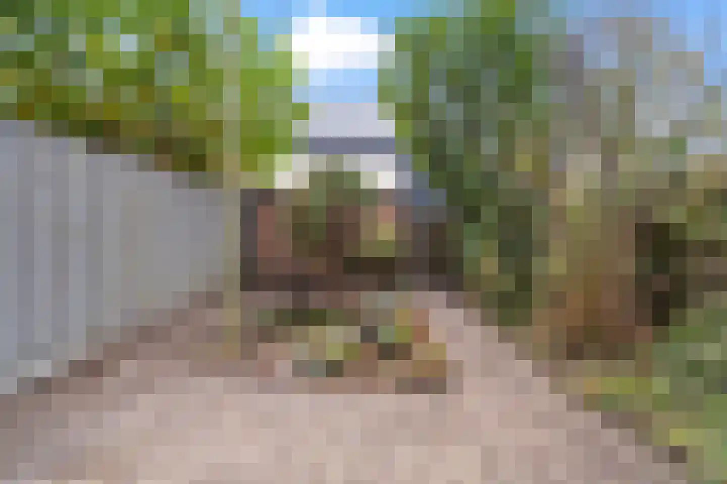 Daalseweg 66 Utrecht thumbnail 19