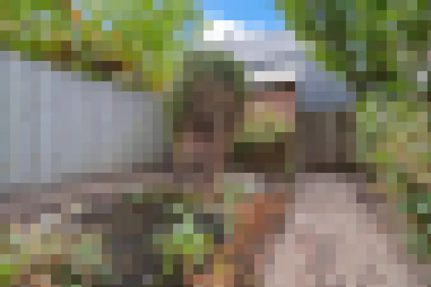 Daalseweg 66 Utrecht thumbnail 20