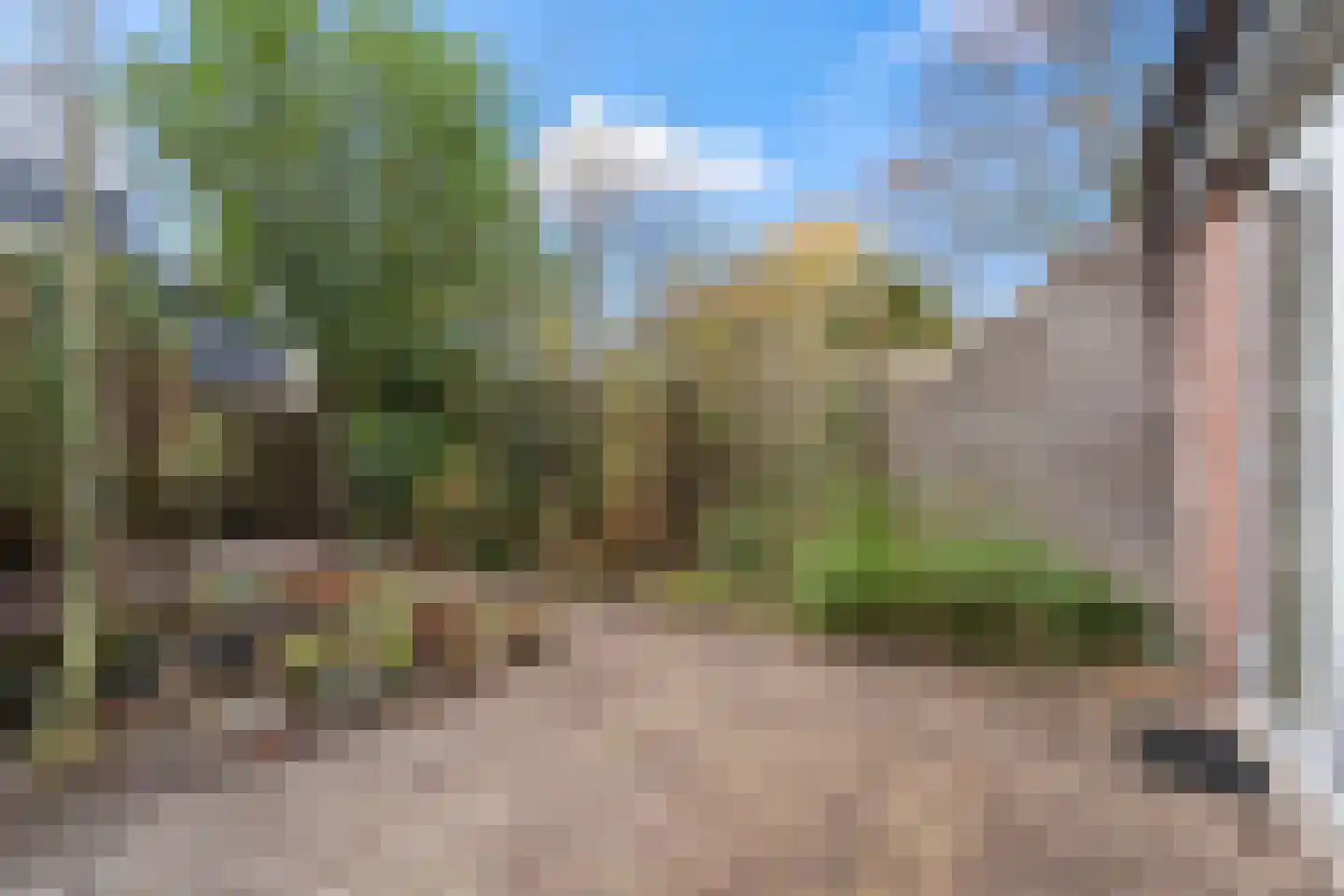Daalseweg 66 Utrecht thumbnail 24