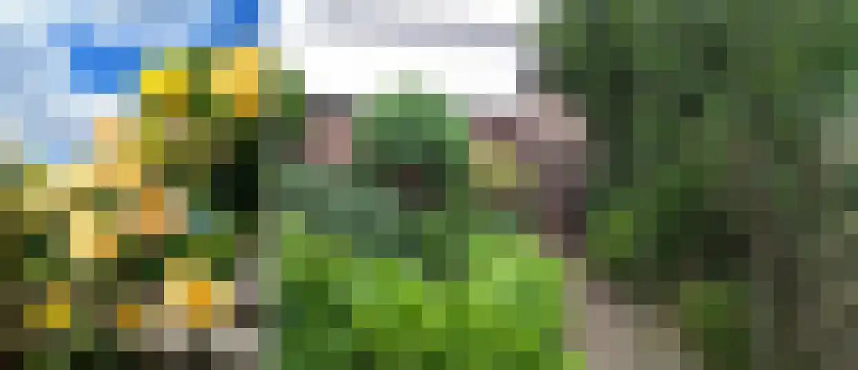Daalseweg 66 Utrecht thumbnail 25
