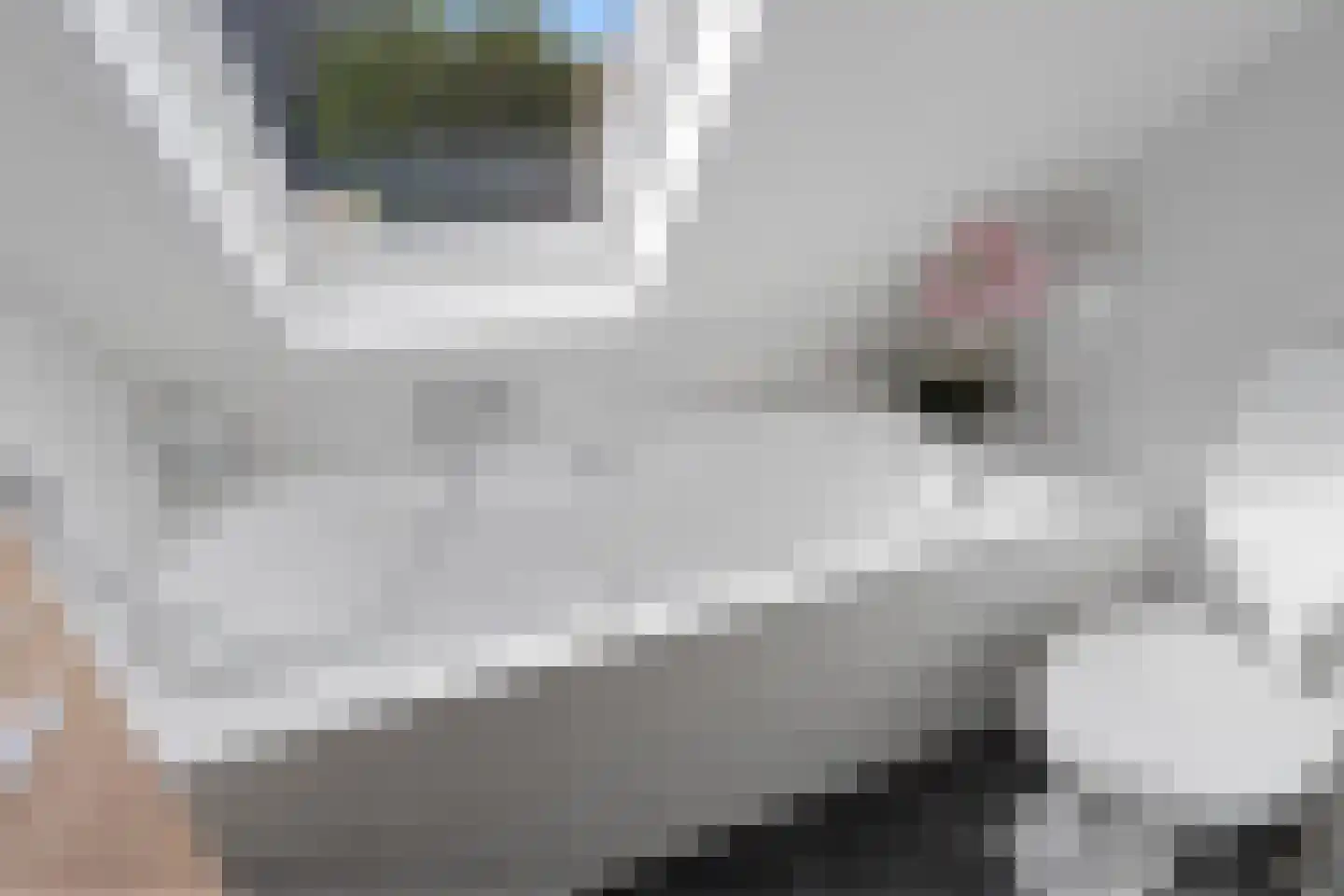Daalseweg 66 Utrecht thumbnail 33