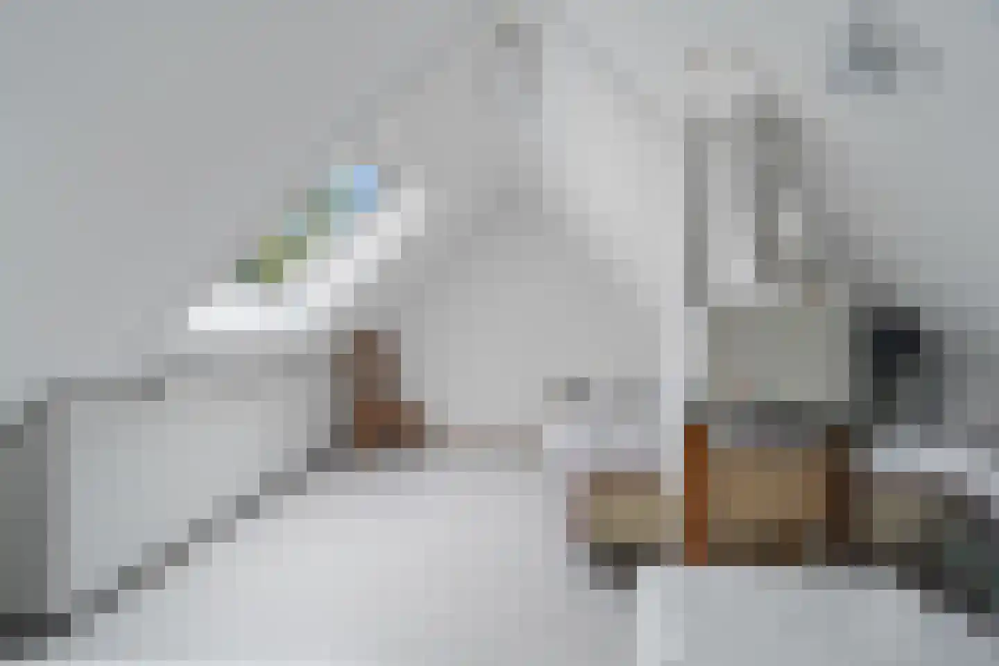 Daalseweg 66 Utrecht thumbnail 38