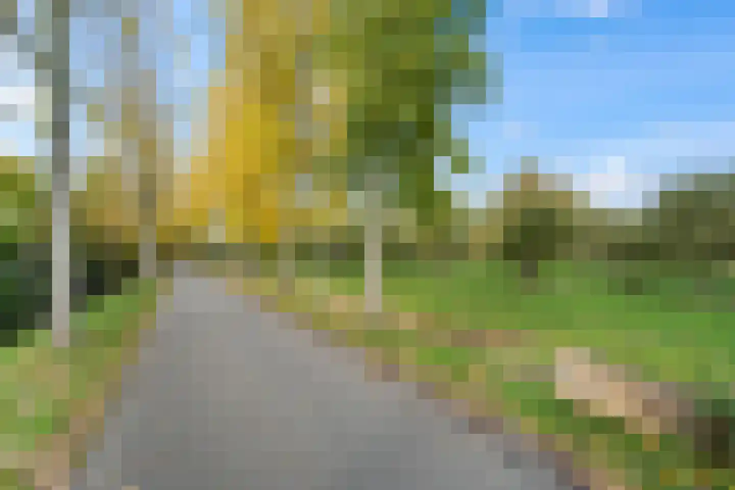 Daalseweg 66 Utrecht thumbnail 43