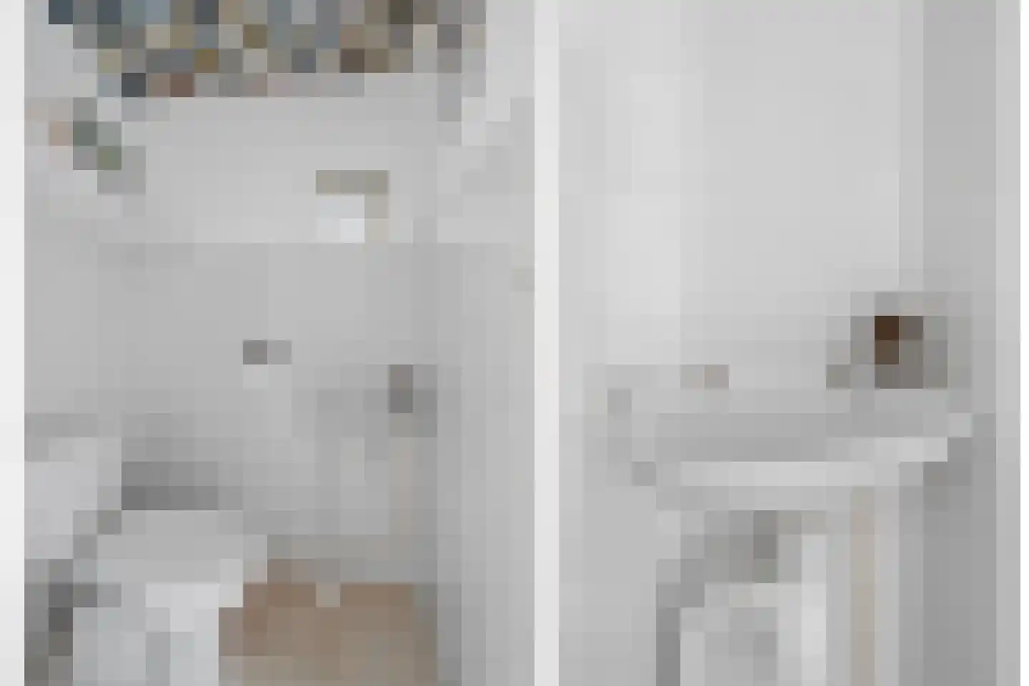 Daalseweg 66 Utrecht thumbnail 7