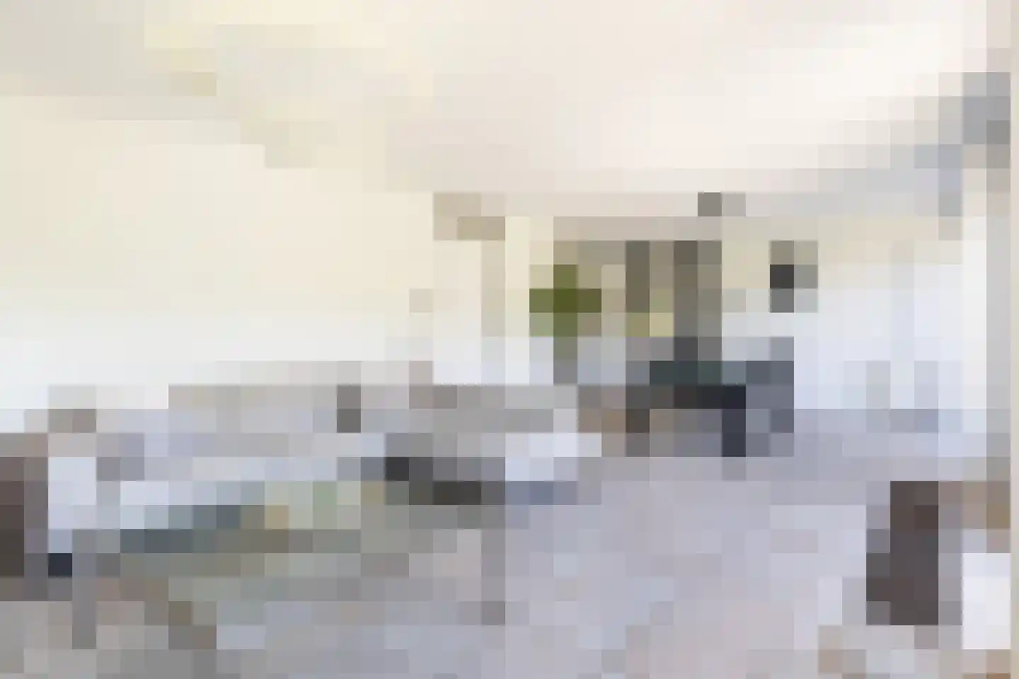 Daalseweg 78 Utrecht thumbnail 10