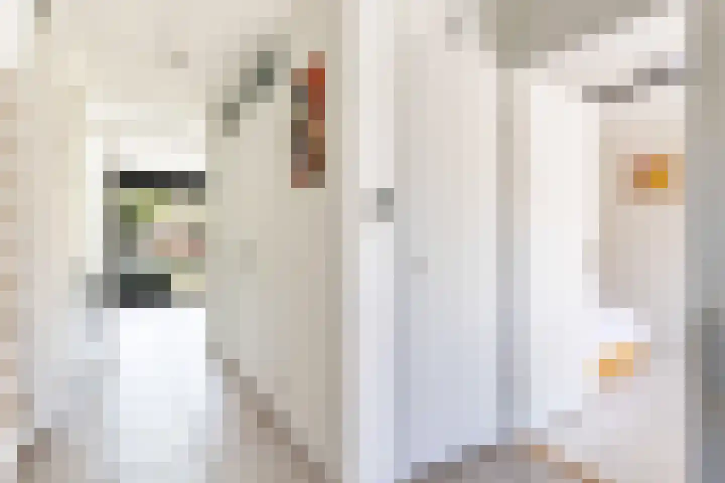 Daalseweg 78 Utrecht thumbnail 15