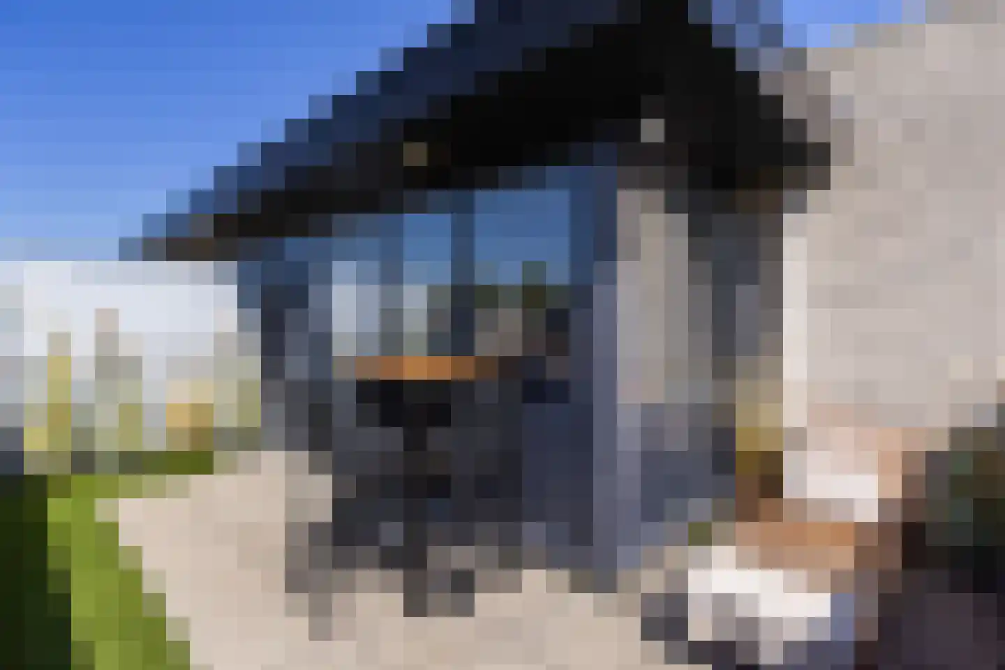 Daalseweg 78 Utrecht thumbnail 32