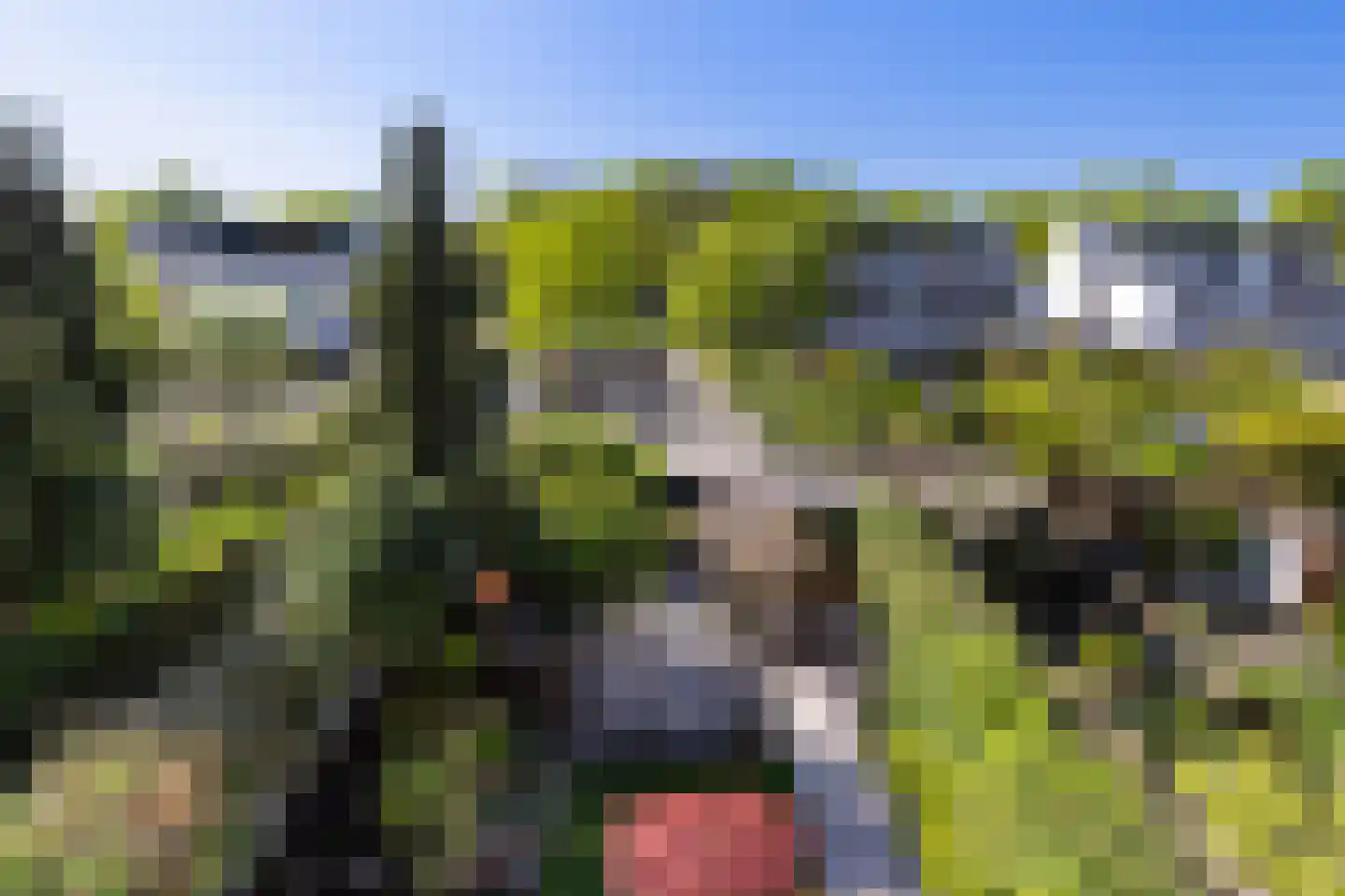 Daalseweg 78 Utrecht thumbnail 45