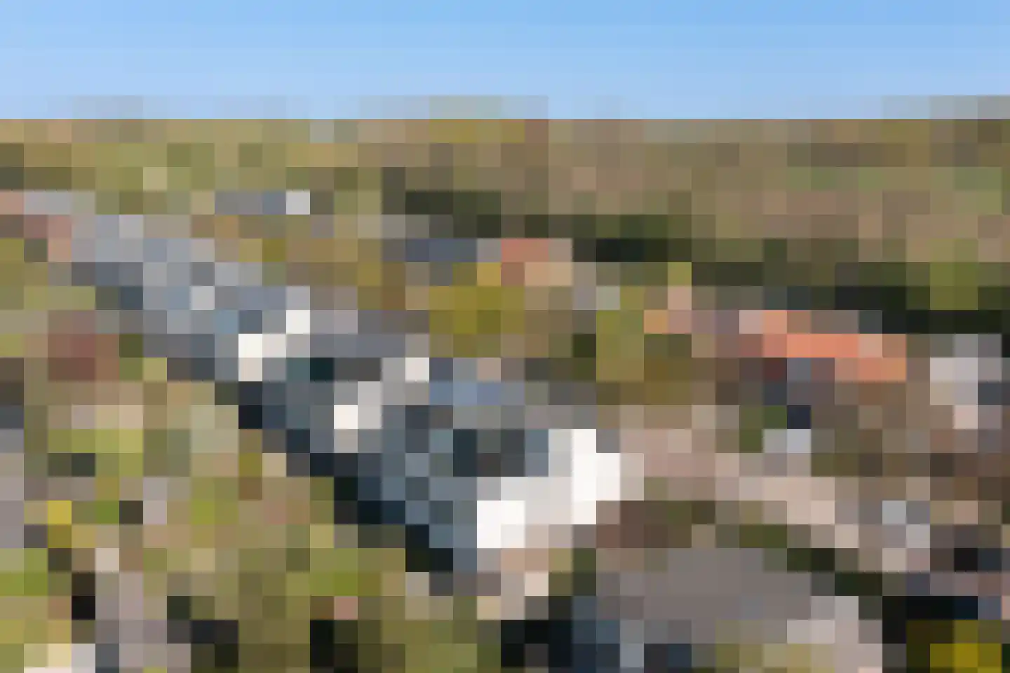 Daalseweg 78 Utrecht thumbnail 47