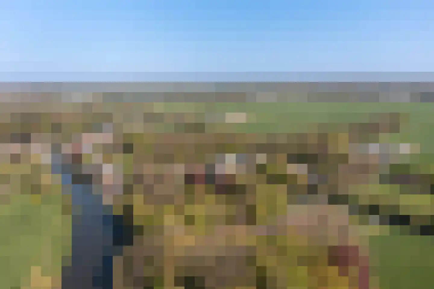 Daalseweg 78 Utrecht thumbnail 52