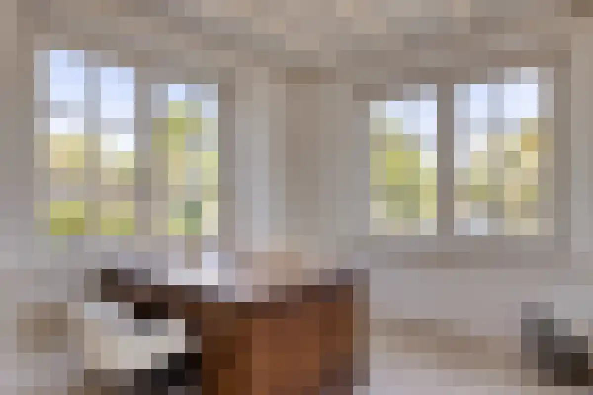 Daalseweg 81 Oud Zuilen thumbnail 5