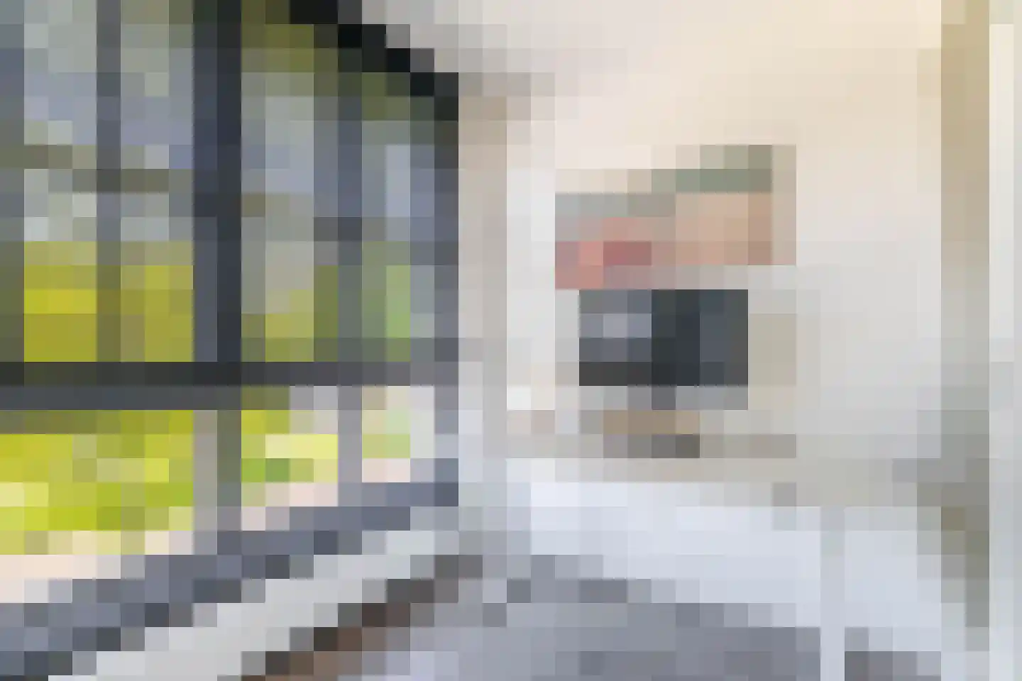 Daalseweghof 104 Utrecht thumbnail 19