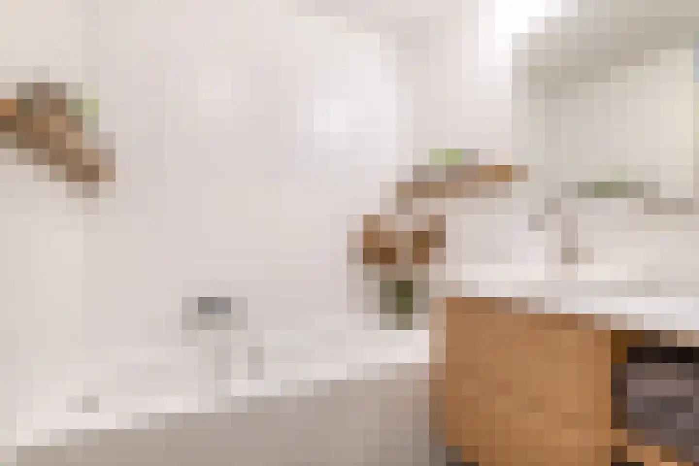 Daalseweghof 104 Utrecht thumbnail 30