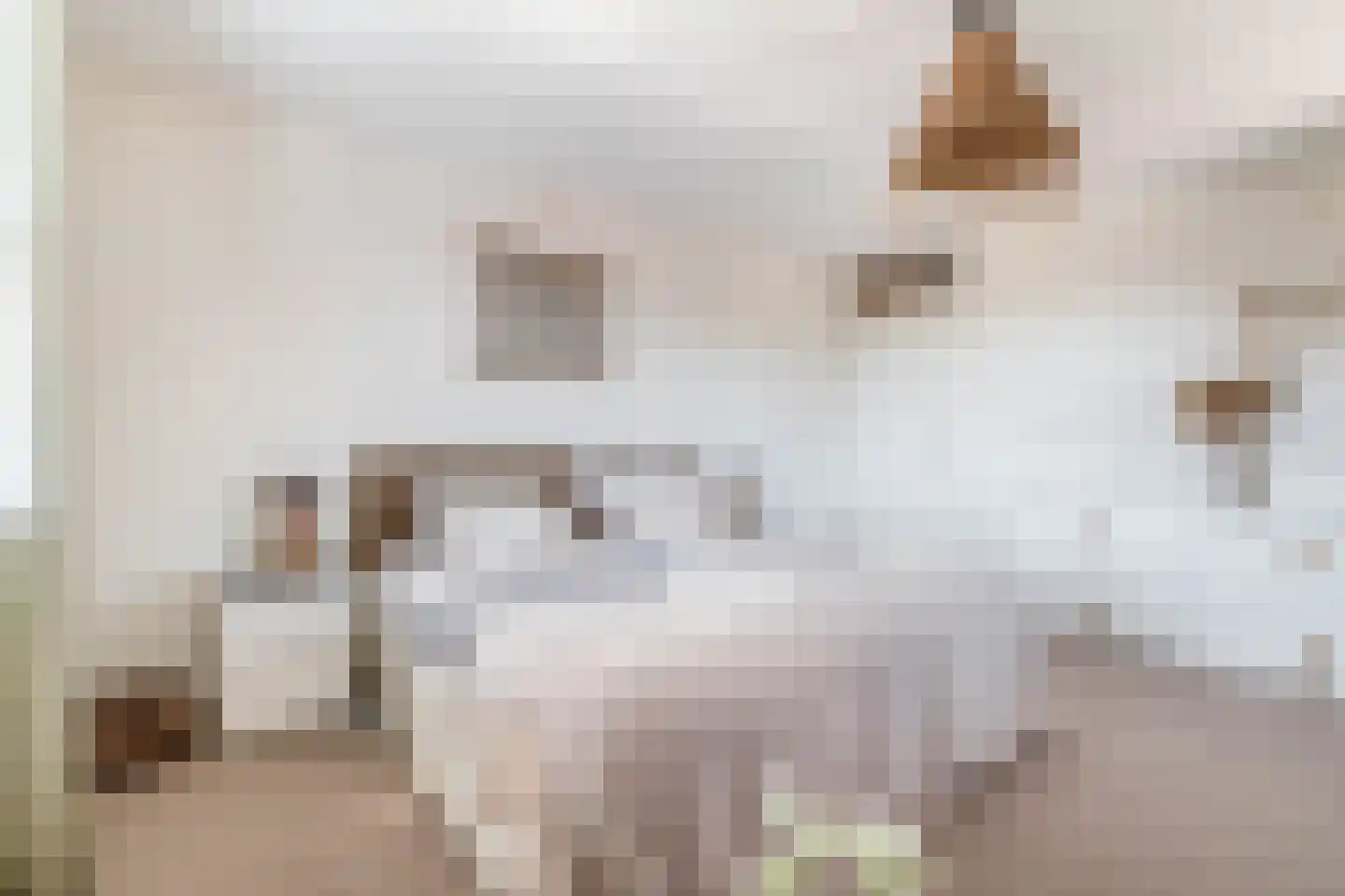 Daalseweghof 104 Utrecht thumbnail 4